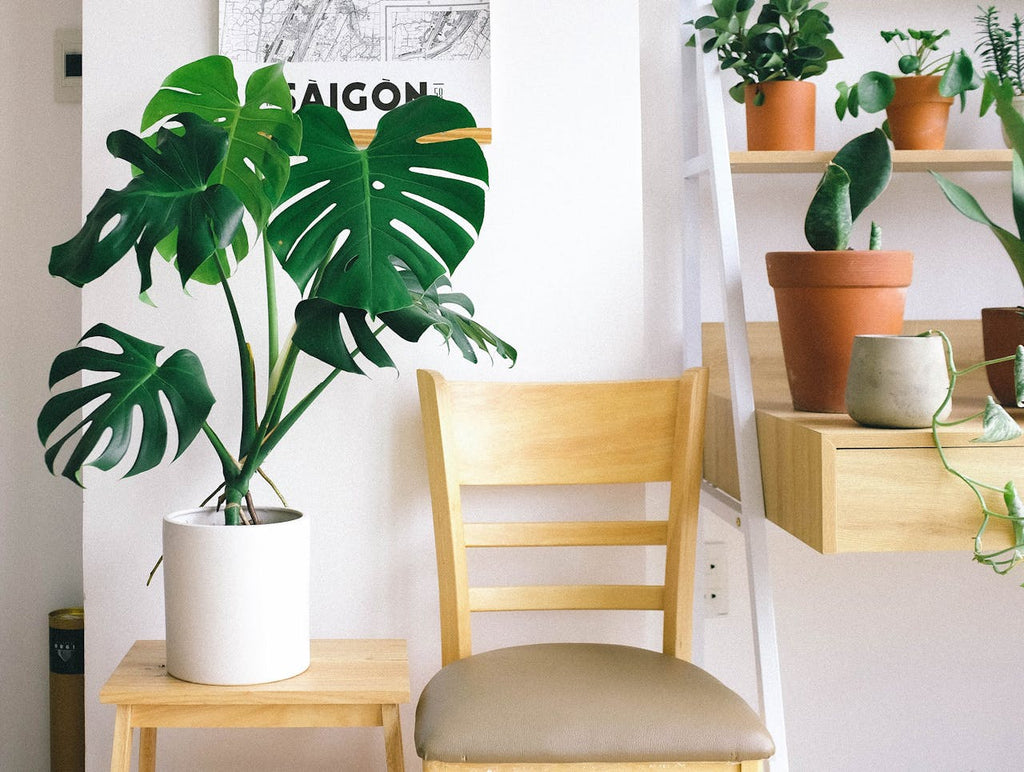 The Role of Rooflights in Creating Healthier Spaces