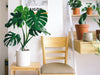 The Role of Rooflights in Creating Healthier Spaces